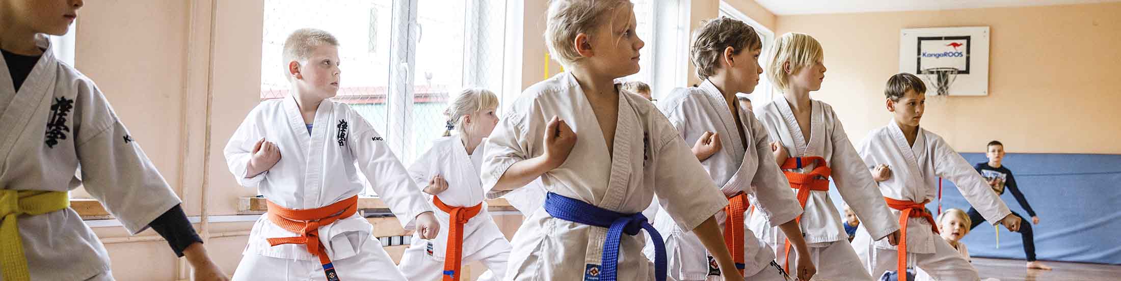 Drąsūs stiprūs vikrūs